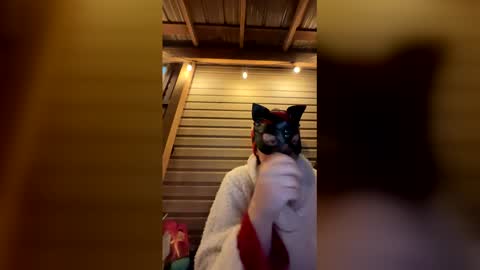 tequilacouple3 online show from December 15, 12:28 am