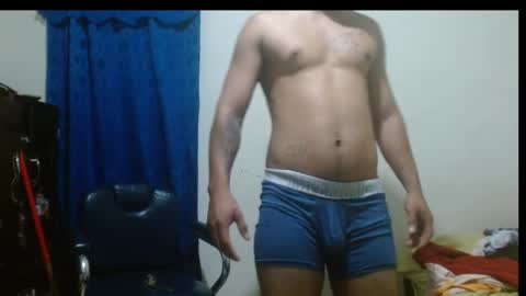 thehousedog online show from April 14, 12:52 pm