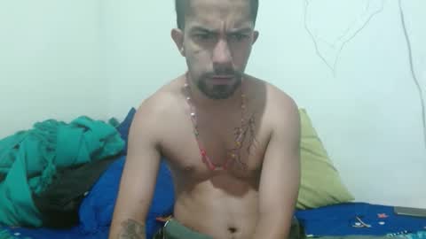 thehousedog online show from October 25, 10:03 am