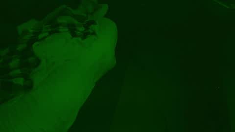 thehungmantis online show from December 26, 4:32 am