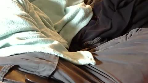 Liam online show from April 6, 8:43 pm