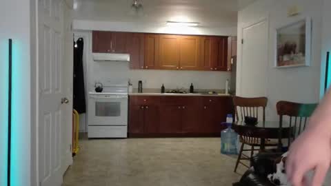 thekodyy online show from November 19, 3:44 pm