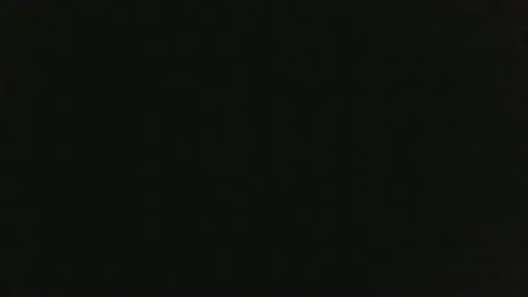 Snapshot of thenudedoodler chatting on January 20, 11:35 am JohnSilver online show from January 20, 11:35 am