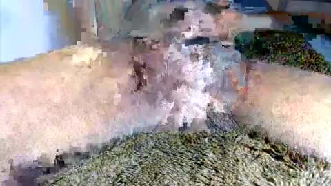 thetightestass14 online show from January 7, 12:03 am