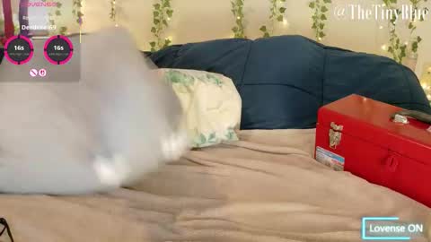 Tiny Blue online show from January 8, 6:25 pm