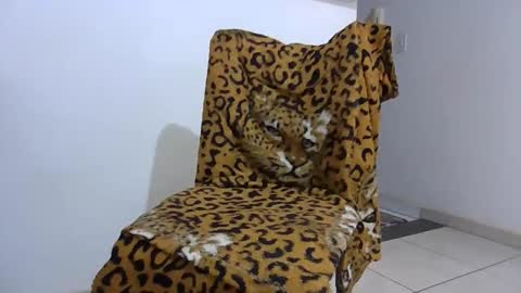 ticomineiro online show from November 1, 2:45 am