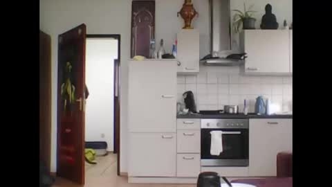 tigertrance online show from March 11, 11:44 am