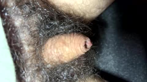 tinycocker online show from October 6, 9:21 pm