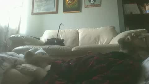 titlovercums online show from February 16, 2:15 pm