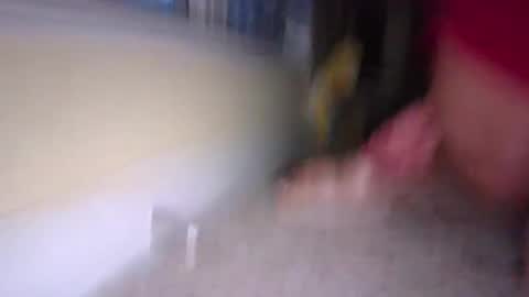 tj526316275 online show from January 9, 12:19 pm