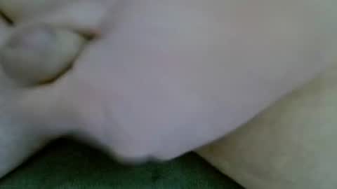 TOMHOTFUN online show from March 7, 11:43 am