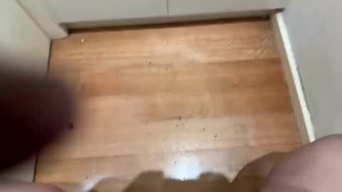 tommihorni online show from November 12, 5:26 pm