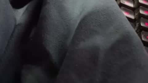 Snapshot of tonysafari chatting on February 27, 1:38 pm tonysafari online show from February 27, 1:38 pm