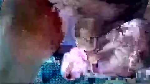 toranaman77 online show from September 29, 12:09 am