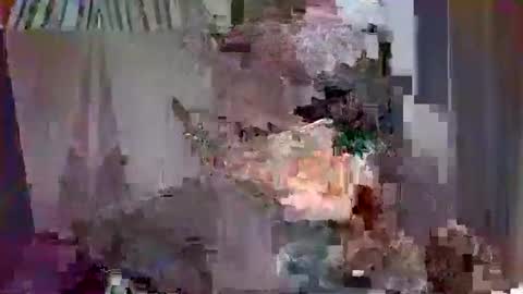 toyboy8883 online show from December 17, 10:11 am