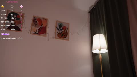 Sarah online show from November 17, 2:19 pm