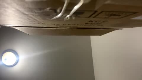 travelltreasures online show from November 5, 9:33 am