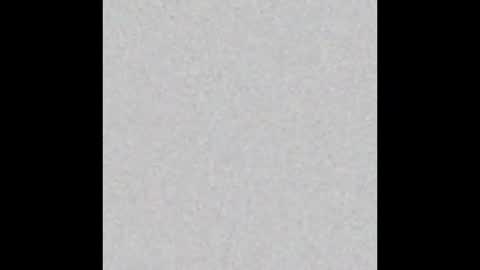 travt91 online show from November 3, 5:52 am