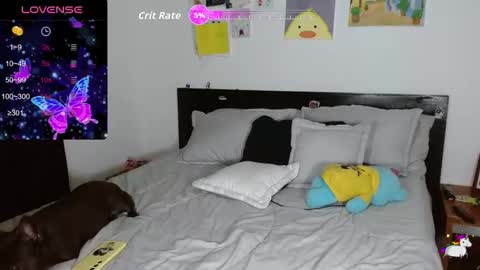 Kitty online show from September 22, 2:26 am