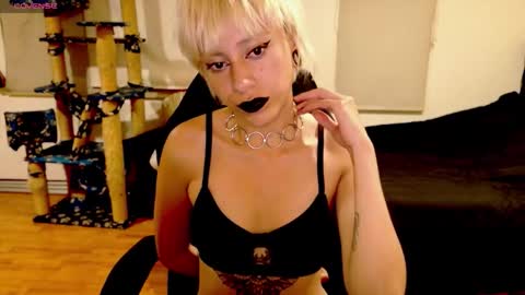 Snapshot of tryp666 chatting on October 13, 4:03 am Cait online show from October 13, 4:03 am