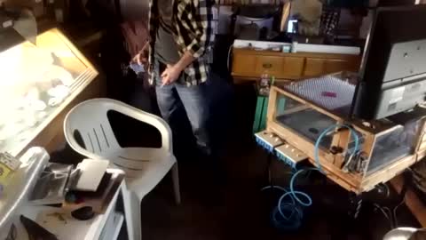 trypodman online show from December 23, 4:39 pm