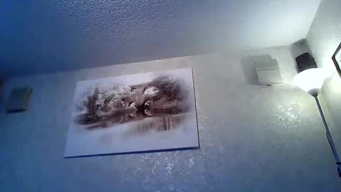 twatcockandballs online show from February 23, 6:43 pm