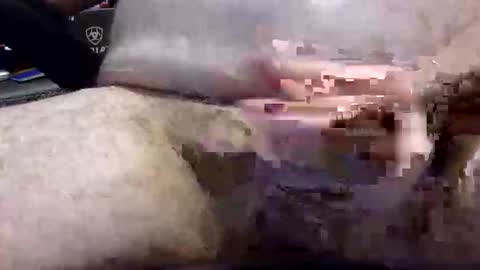 txranger6519 online show from April 22, 12:34 pm