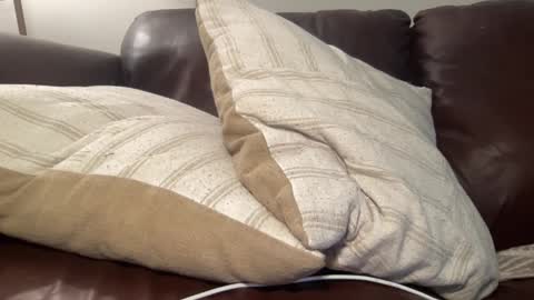 ty223222 online show from March 6, 7:36 am