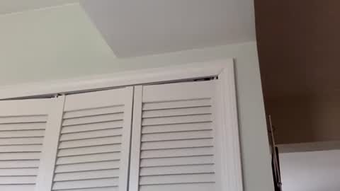 Tyler Durden online show from March 1, 3:38 pm