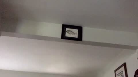 Tyler Durden online show from February 8, 6:11 pm