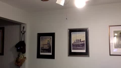 Tyler Durden online show from February 14, 2:07 am