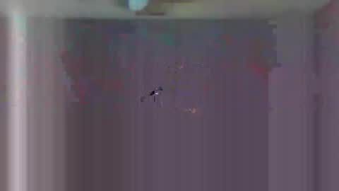 urls2025 online show from November 23, 4:32 am