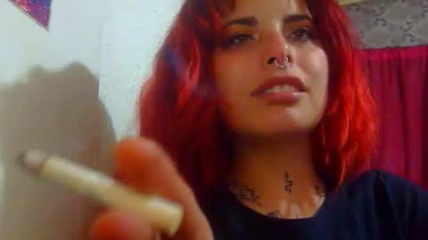 Aniie online show from December 19, 4:08 am