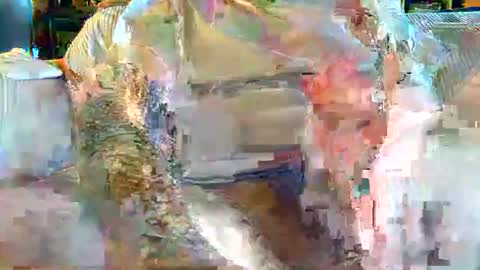 urukai79 online show from February 17, 12:48 pm