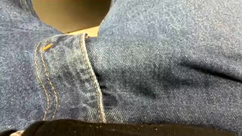 usabound online show from November 20, 1:04 am