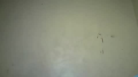 Vee tommy online show from January 3, 1:46 pm