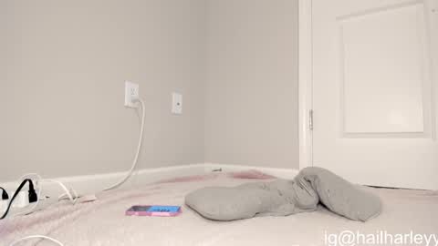 Harley   instahailharleyy online show from February 25, 6:14 am