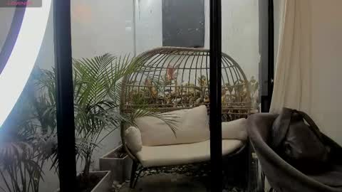 VENUS online show from January 11, 2:23 pm