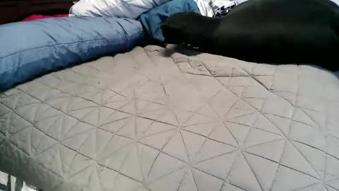 Vexnew online show from November 4, 6:53 pm