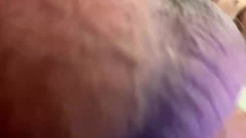 vgs702 online show from November 4, 7:15 pm