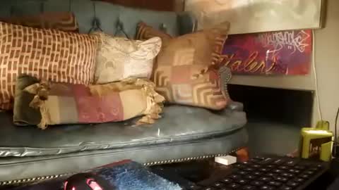 victoryyisours online show from February 15, 12:43 pm