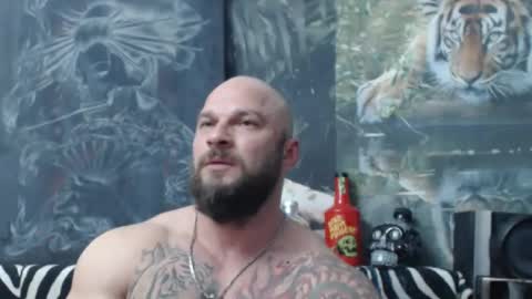 viking online show from April 19, 5:36 pm