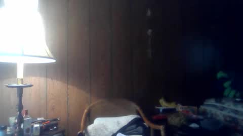 vincent_shaine online show from February 1, 2:47 pm