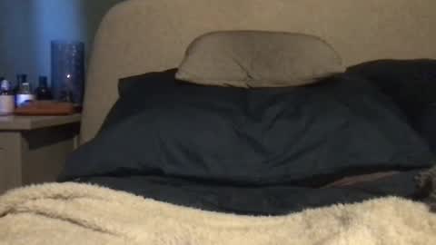 Vinny online show from March 3, 11:00 am