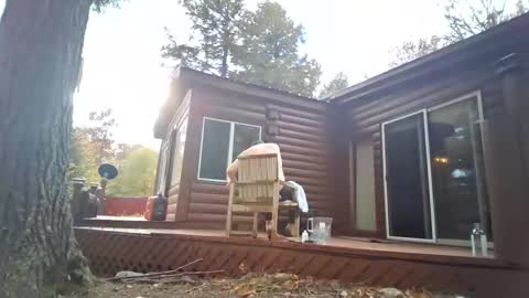 priscilla online show from October 11, 8:23 pm