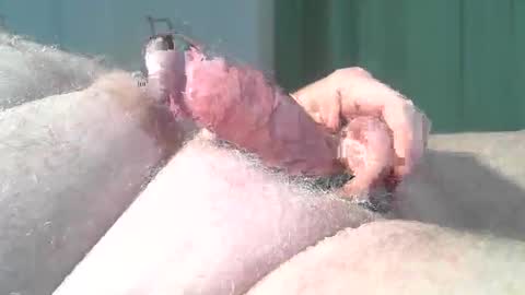 vukavuka99 online show from March 2, 9:21 pm