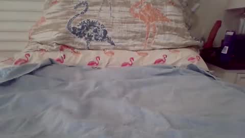 vwjim26 online show from February 23, 3:25 pm