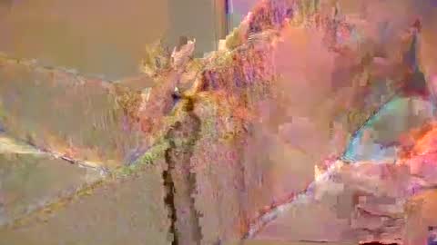 want2cum4gal online show from December 29, 10:47 pm