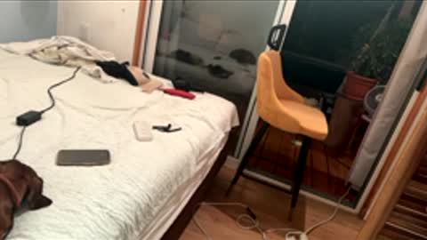 watershed111111 online show from February 22, 1:09 am