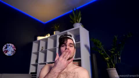 waynenorth online show from February 10, 7:26 am